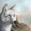 A Painting of Howl