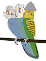 Cerberus Parakeet