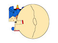 2 Pregnant Pictures by Homerwashere