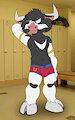 Cowlorado Kid