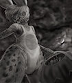 halloween 2022 by toothandclaw