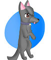 Darwin the Dog (Feral) by DarwintheDog