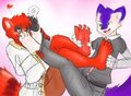 Hypno Paws 2