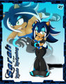 Sarah the Pinto Hedgehog