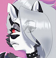 loona paws by invenTOR