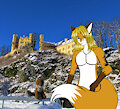 Snow Foxes ^^