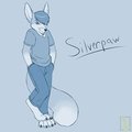 Silverpaw