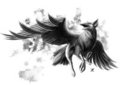 Jarell - B/W by RevenantWairu