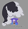 p r o t e c c