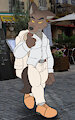 Mr Wolf