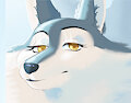 paws Porsha ♥