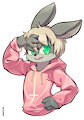 Hoodie! by NicoRabbit