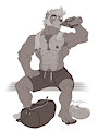 Snartles Comm