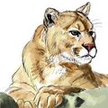 Daily Random Stuff 75