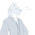SWS-7-Ryusei-Lupi