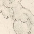 Cover Tail