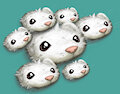 Lots of Peekies