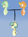 Family Tree Part 2