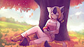 [C] NovaXP1
