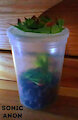Paper Succulent Terrarium