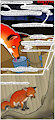 Ship's Fox page 3 by earbender