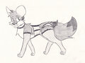 Fabulous Fox
