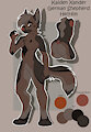 Kaiden Ref by KaidenGirs