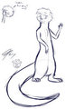 [Sketch] Otters!