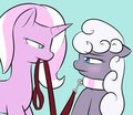 pet stallion