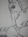 Wet Fox! by silverprince