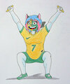 GO SOCCEROOS