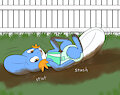 Mudkip Mudbath -By HydroFTT-