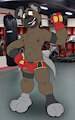 Haida