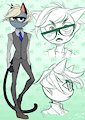 Cat Villager Raymond by Jstein