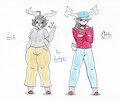 A Deer Family Picture
