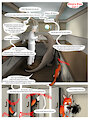 Ship's Fox page 7 by earbender