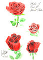 Sketches of Roses 12-5-22 by CoffeehoundJoe