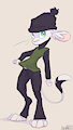 Clothes by Animancer