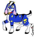 Camelia feral by Camelia