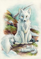 Children of the Tundra