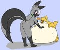 the stuffening