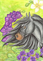 Horse (watercolor)