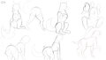 Dog Studies and Poses~ by Hyde3291