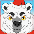 Icon polar 2022