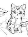 Sketch 44 - Ubi ( My house cat )