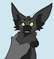 Hold Floofy Gently by FloofyChi