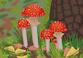Fly Agaric