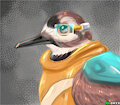 Killdeer Baptiste