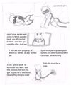fetish co page  1