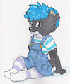 Skirtall kitten